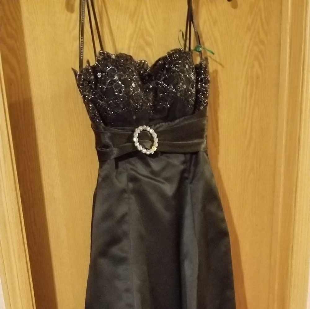 Snowball/Prom dress
